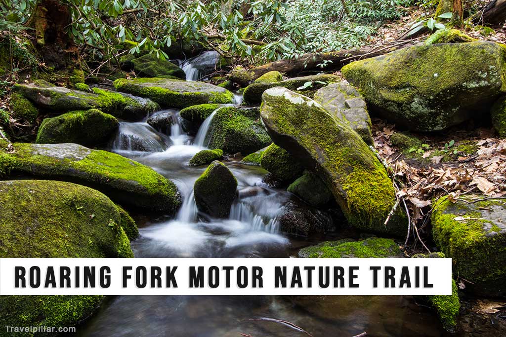 Roaring Fork Motor Nature Trail, Great Smoky Mountains NP